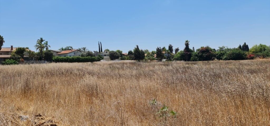 רמת השרון מזרחי